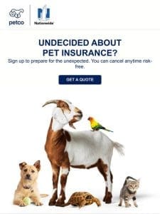 Are you protecting your pet from the unexpected?