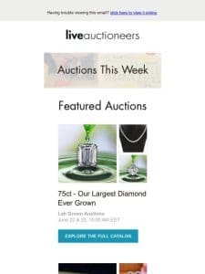 Auction Calendar