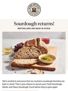 Back in Action: Sourdough Essentials!