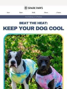 Beat the Heat: Keep Your Dog Cool?