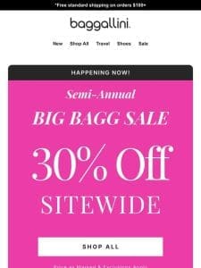 Best Sellers ? Big Bagg Sale—30% off Sitewide Happening Now