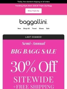 Big Bagg Sale Ends Today ??? Free Shipping + 30% off Everything