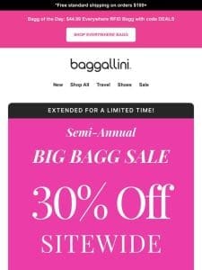 Big Bagg Sale Extended ?? 30% off Sitewide