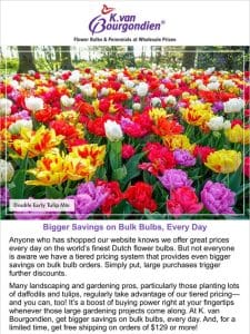 Bigger savings on bulk bulbs， every day