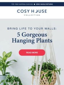 Brighten Your Home with 5 Stunning Hanging Plants