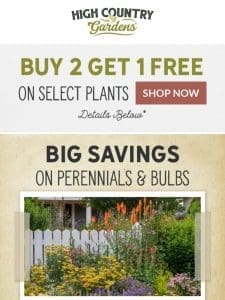 Buy 2 Get 1 Free Perennials & Bulbs