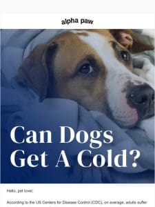 ? Can dogs get a cold?