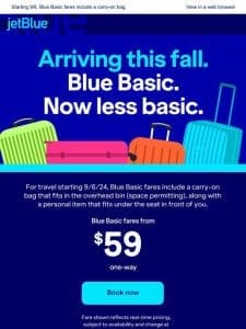 Carry-on bags with Blue Basic? Feel free.