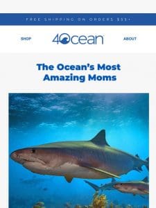 Celebrate Mother’s Day with the best moms of the ocean