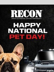 Celebrate National Pet Day with RECON