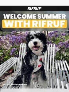 Celebrate the Start of Summer with RIFRUF! ☀️