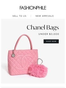Chanel Bags Under $3，000!