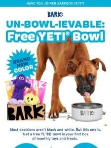 ? Choose Your Free YETI? Bowl ?