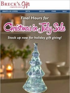 Christmas in July Ends Soon..