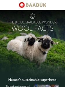 Cozy up & embrace sustainable wool ?