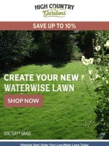 Create Your New Waterwise Lawn