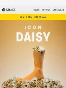 Daisy: The New Icon Colorway