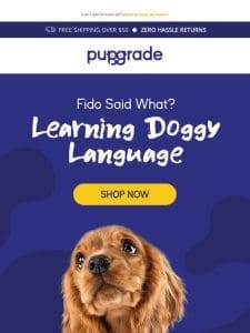 Decode Your Dog’s Quirks with PupGrade! ?