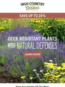 Deer-Resistant Plants With Natural Defenses