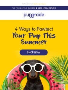 Don’t Let Bugs Hound Your Pup: 4 Summer Pest Patrol Tips