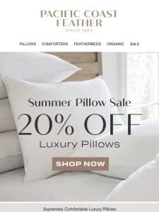 Don’t Miss 20% OFF Pillows!