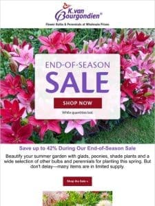 ? Don’t Miss Our Big End-of-Season Sale