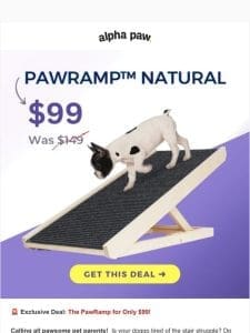 ? Don’t Miss the PawRamp for $99!