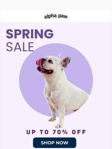 ? Don’t Miss the Spring SALE: Up to 70% OFF!