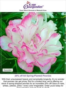 Don’t overpay for peonies! Save 20% today