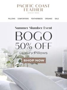 Double Up! Pillows Are BOGO 50% OFF