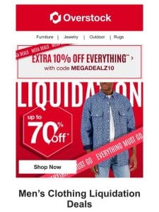 EVERYTHING Must Go! Liquidation Steals