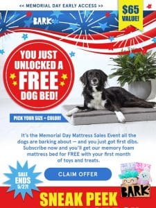 ? Early Access: FREE Dog Bed ?