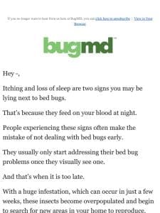 Early signs of a bed bug infestation