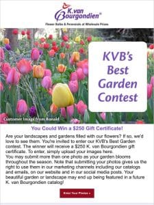 Enter Our Garden Contest for a Chance to Win