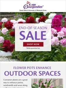 Everything Must Grow! Shop Our End-of-Season Sale