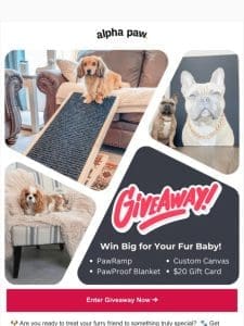 ? Exclusive Giveaway Alert: Win Pawsome Prizes!