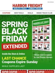 Extra Savings Alert: EXTENDED SPRING BLACK FRIDAY SALE!