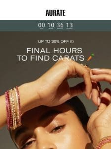 FINAL HOURS 35% OFF (!)