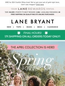 FINAL HOURS for 17￠ SHIPPING + BOGO 50% OFF!