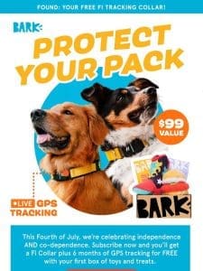 FOUND: a FREE Fi Collar to keep your pup safe