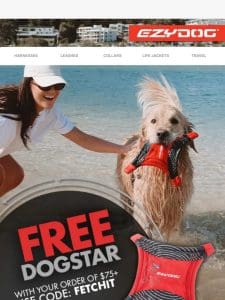 FREE DogStar – Limited Time Only!