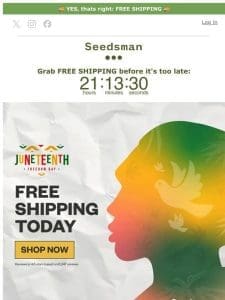 ? FREE SHIPPING ? Juneteenth 24 hours only…