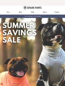 Fetch These Summer Deals!