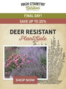 Final Day | Deer Resistant Plant Sale