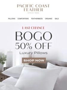 Final Day: Shop Pillows BOGO 50% OFF