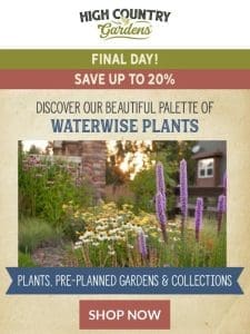 Final Day | Waterwise Plants Up To 20% Off