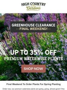 Final Weekend To Order Plants For Spring Planting