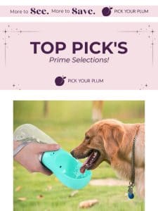 Finally! The Top Picks You’ve Been Waiting For (Sale Inside!)