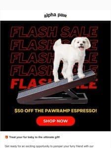 ? Flash Sale Alert: $50 Off PawRamp Espresso! ??