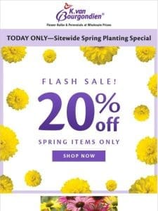 ? Flash Sale returns! Save 20% on spring items